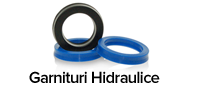 Hydraulic seals